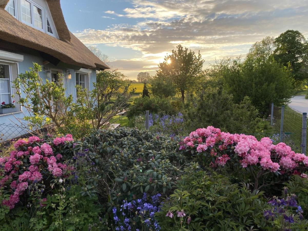 Reethaus Vilmnitz - Ferienwohnung Vilm Exteriör bild